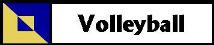 Volleyball Schedule